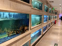 -顺峰(农展馆店)