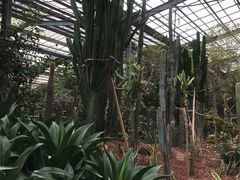 -呀路古热带植物园