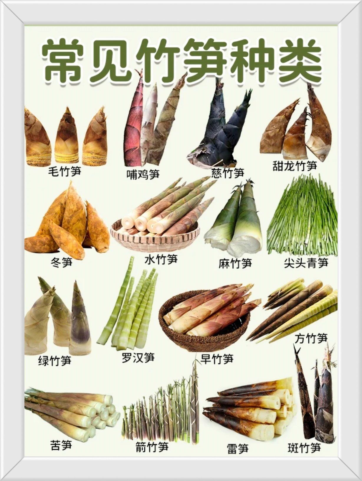 🌱常见竹笋种类大赏🌱