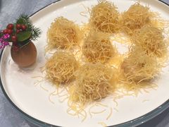 -丁老爷子苏香圆