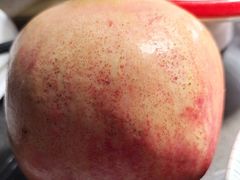 -宋园·金宴浙鲜馆(静安店)