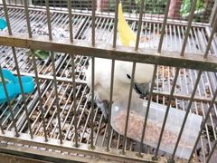 -百万葵园