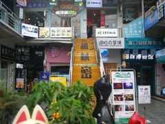 -猫咪博物馆(顶澳仔猫街店)