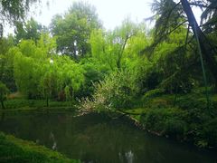 -杭州西湖柳莺里酒店