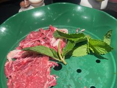 -毛辣果·酸(OHA复兴西路店)