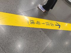 -大望路(地铁站)