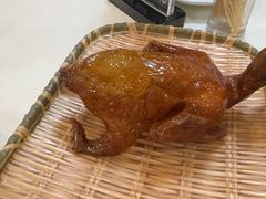 -五谷芳乳鸽王(梅沙老店)