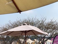 -望海·帆船主题咖啡厅•品茗下午茶(石湖景区店)