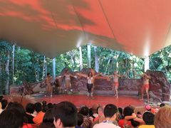 -热带雨林自然公园