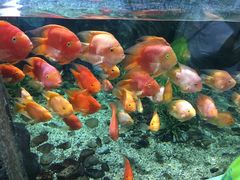 -福州罗源湾海洋世界旅游区