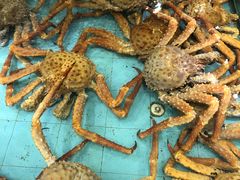 海鲜类-渔民新村(番禺总店)