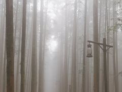 -山王坪喀斯特国家生态公园