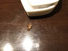 -富力希尔顿酒店·源氏日餐厅