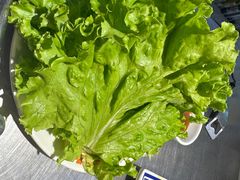 -胡同泥炉烤肉(总店)