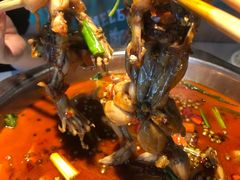 -宽口美蛙鱼头(大唐西市店)