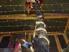 -丽江庭院·云南野生菌·海鲜火锅(鼓楼四合院店)