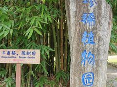 -云南勐巴娜西珍奇园