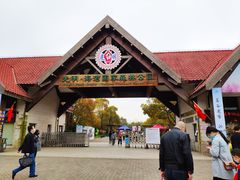 -上海海湾国家森林公园