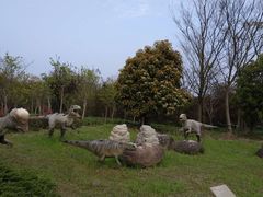 -上海海湾国家森林公园