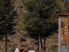 -苏木山森林公园