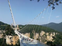 -猪脑壳凉面(武陵源店)