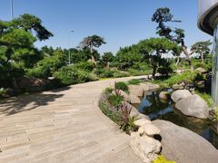 -罗红摄影艺术馆