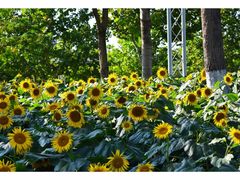 -廊坊文化艺术中心