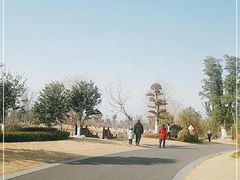 -九科绿洲