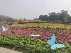-天府芙蓉园