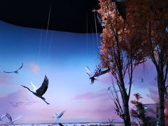 -中国湿地博物馆