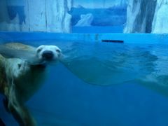 -多彩贵州城极地海洋世界