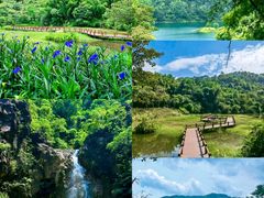 -佛山市三水区大南山森林公园