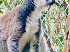 -水上乐园·欢乐世界