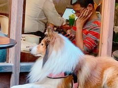 -VESH COFFEE(定西路店)