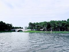 -上海海湾国家森林公园