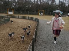 -前小桔亲子创意农场·草莓采摘·露营烧烤