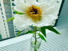 -花旗集团大厦