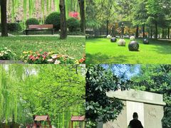 -唐城墙遗址公园