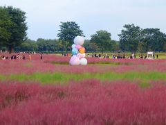 -汉长安城未央宫国家考古遗址公园