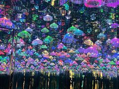 -上海梵高星空艺术馆(南京路旗舰店)