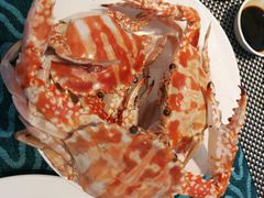-瑞德姆美人鱼海底演艺主题餐厅(亚龙湾店)