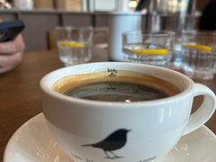 -Two Birds One Stone·一石二鸟(诚品生活店)