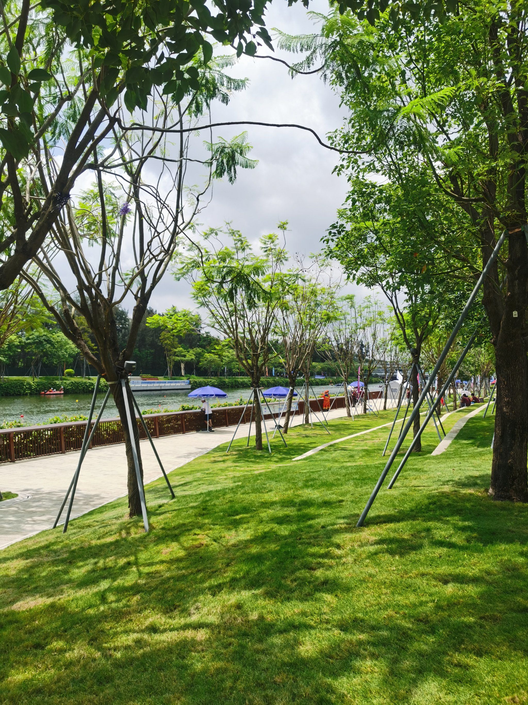 大沙河生态长廊