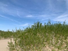 -库伦旗银沙湾旅游景区