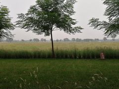 -汉长安城未央宫国家考古遗址公园