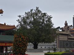-广东圆玄道观