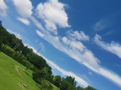 -棒棰岛宾馆景区