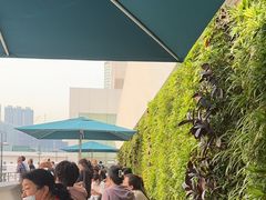-海港城