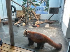 -西安秦岭野生动物园