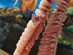 -土著渔匠·养生蝴蝶鱼(香樟路店)